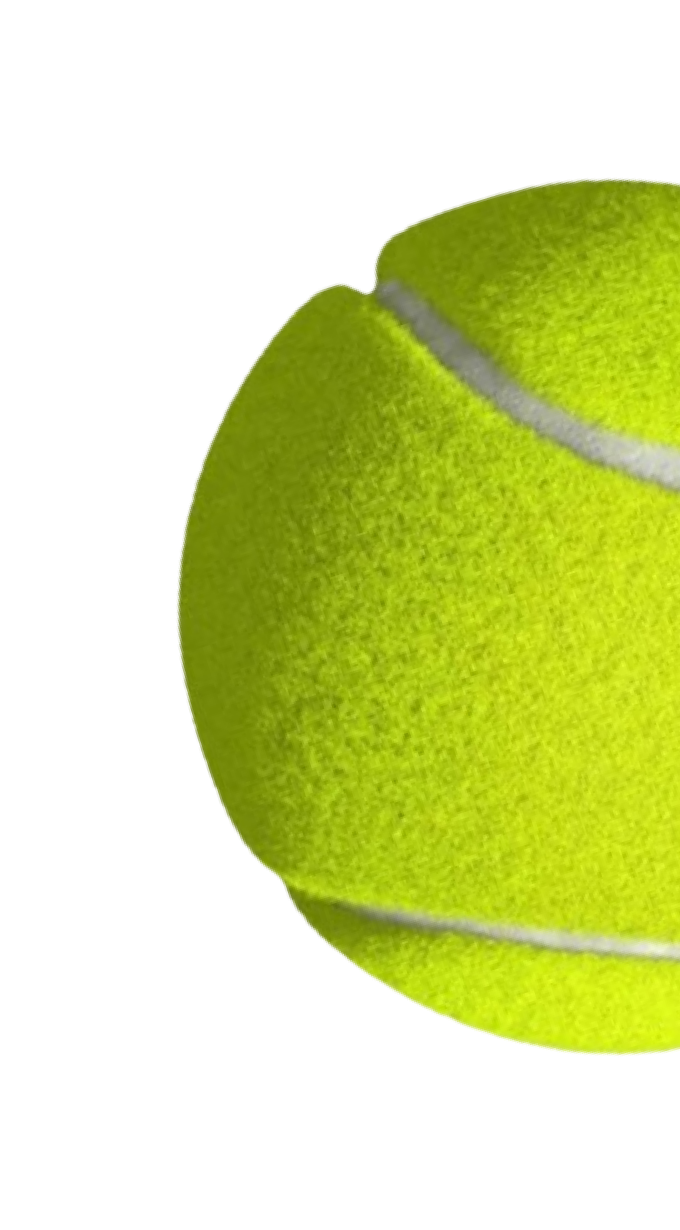 14604-removebg-preview-17104895222699.png